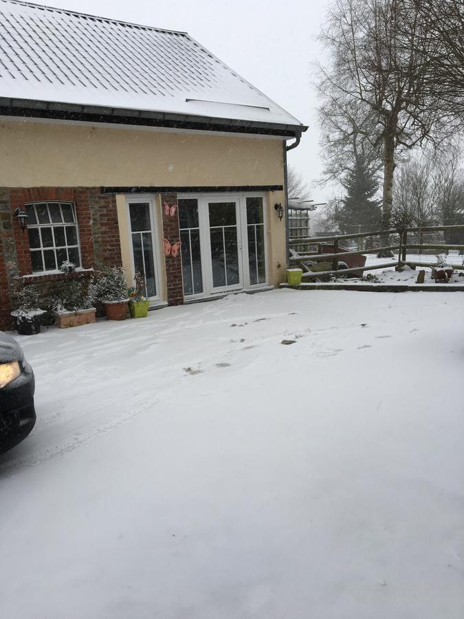 The Cottage And The Loft Ambleve Exterior photo